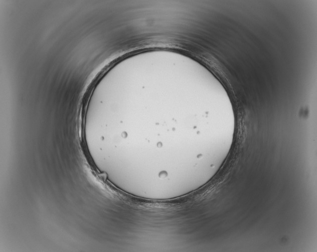 X0000113991132200910231724