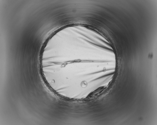 X0000113991133200910231724