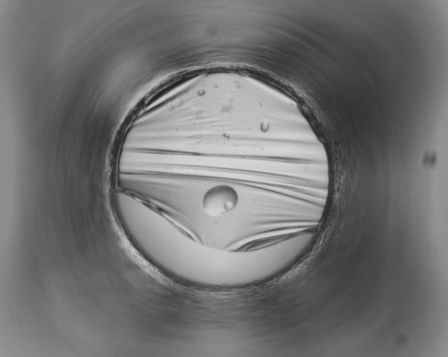 X0000113991134200910231724