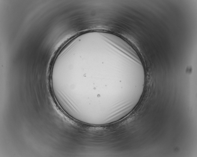 X0000113991135200910231724