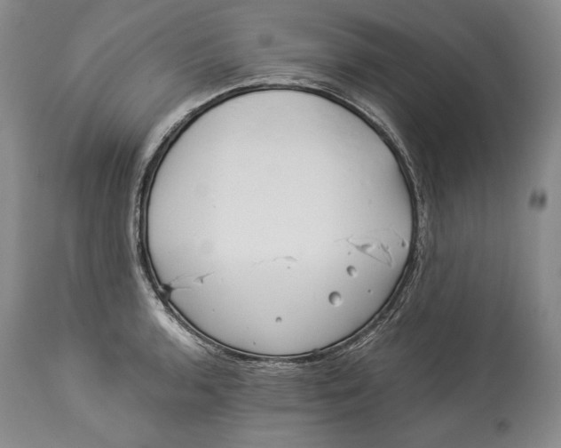 X0000113991136200910231724