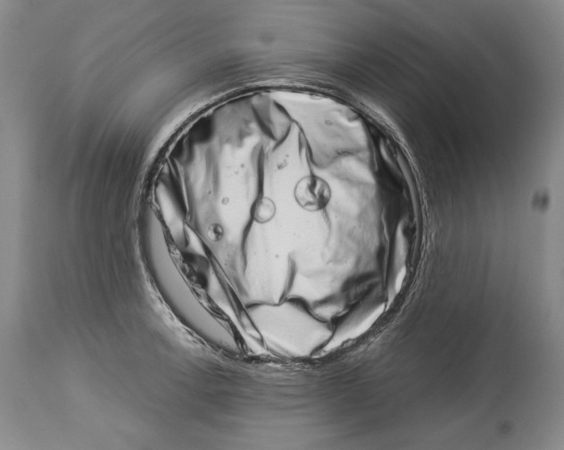 X0000113991138200910231724