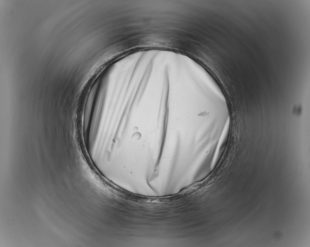 X0000113991139200910231724