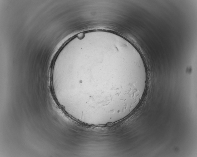 X0000113991140200910231724