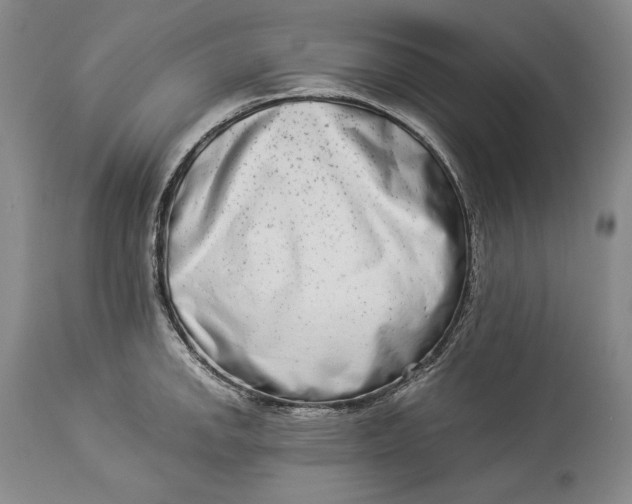 X0000113991142200910231724