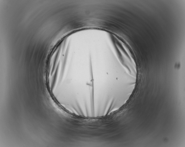 X0000113991143200910231724