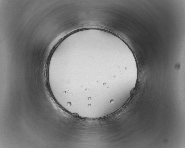 X0000113991144200910231724