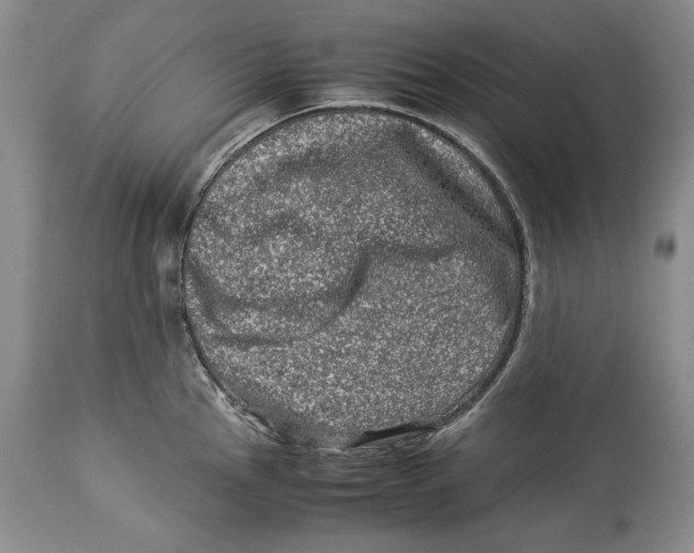 X0000113991145200910231724