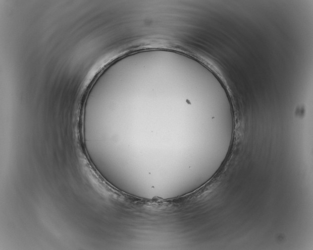 X0000113991146200910231724