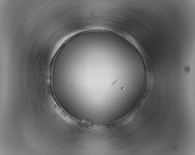 X0000113991148200910231724