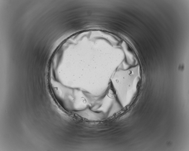 X0000113991149200910231724