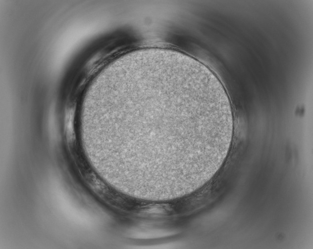 X0000113991150200910231724