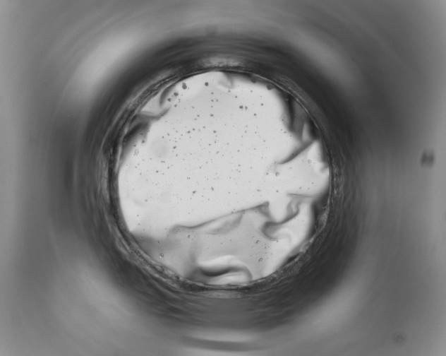 X0000113991151200910231724