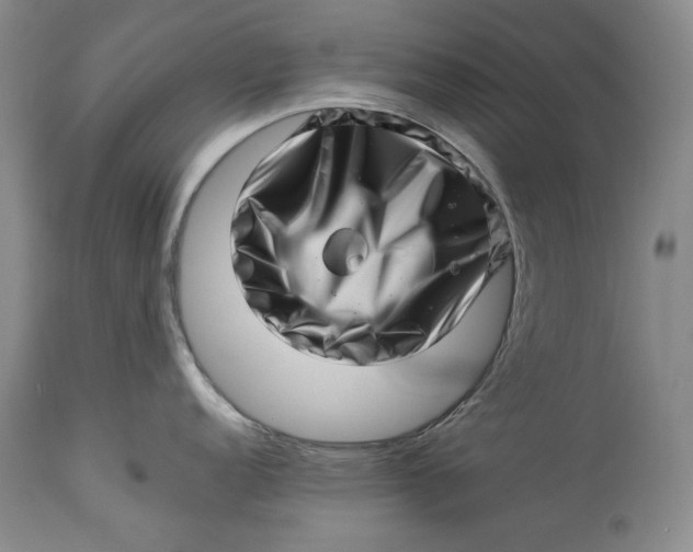 X0000113991152200910231724