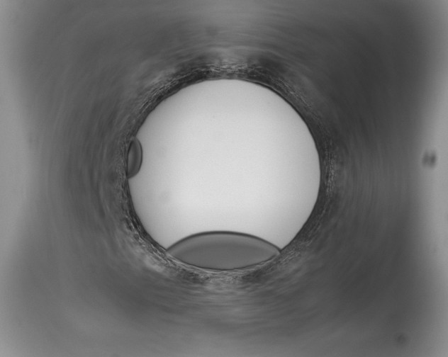 X0000113991153200910231723