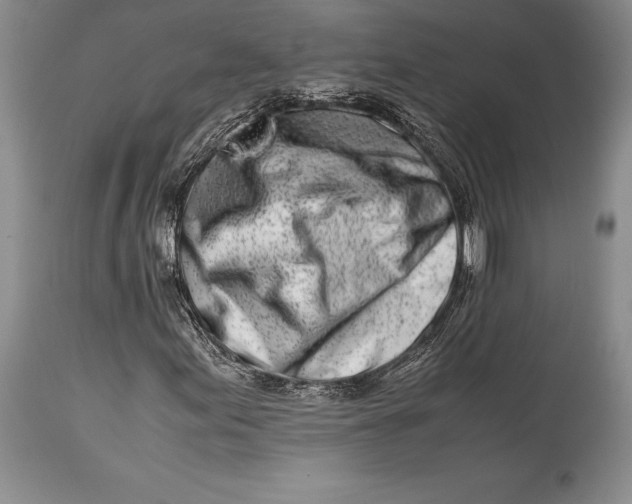 X0000113991155200910231723