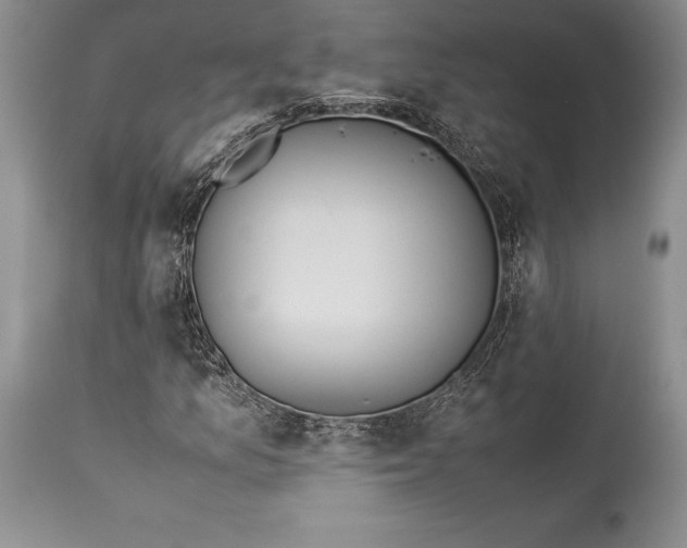 X0000113991157200910231723