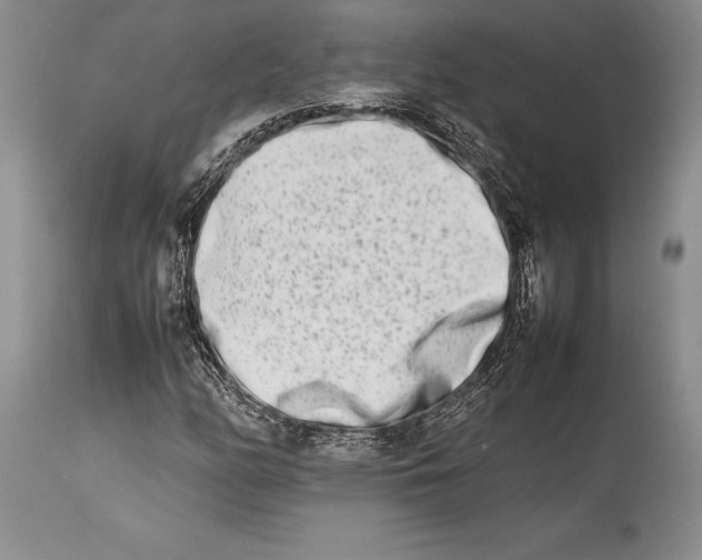 X0000113991158200910231723