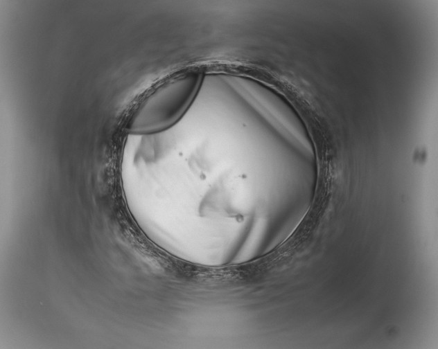 X0000113991159200910231723