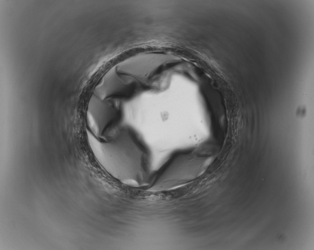 X0000113991160200910231723