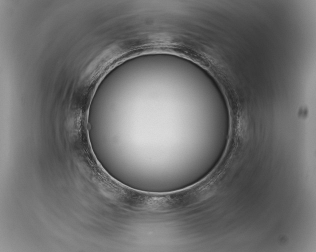 X0000113991161200910231723