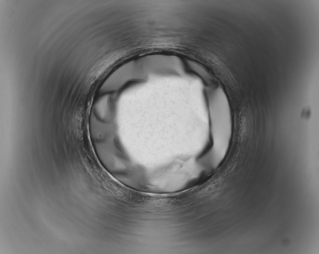 X0000113991162200910231723