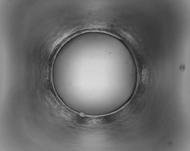 X0000113991165200910231723