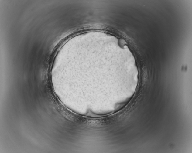 X0000113991166200910231723