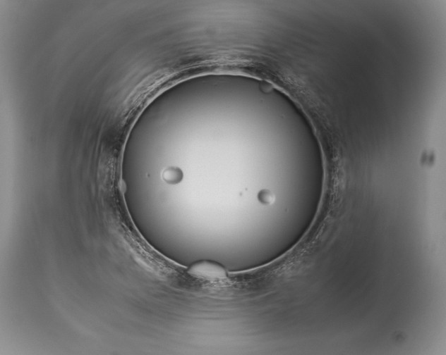 X0000113991169200910231723