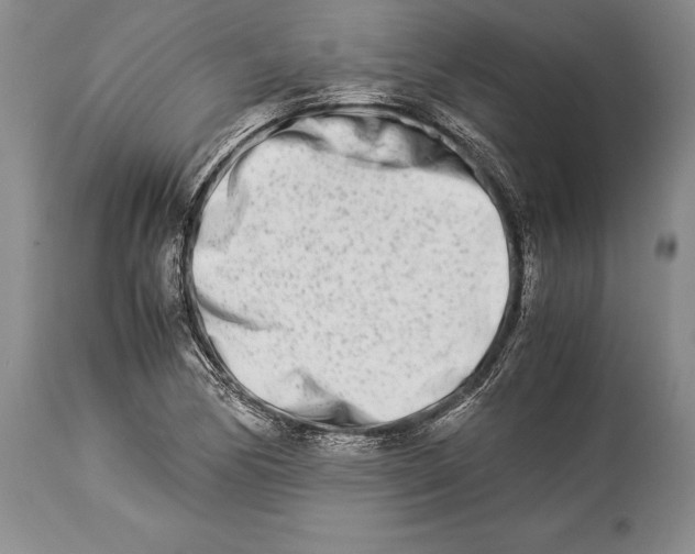 X0000113991170200910231723