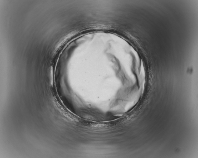 X0000113991171200910231723