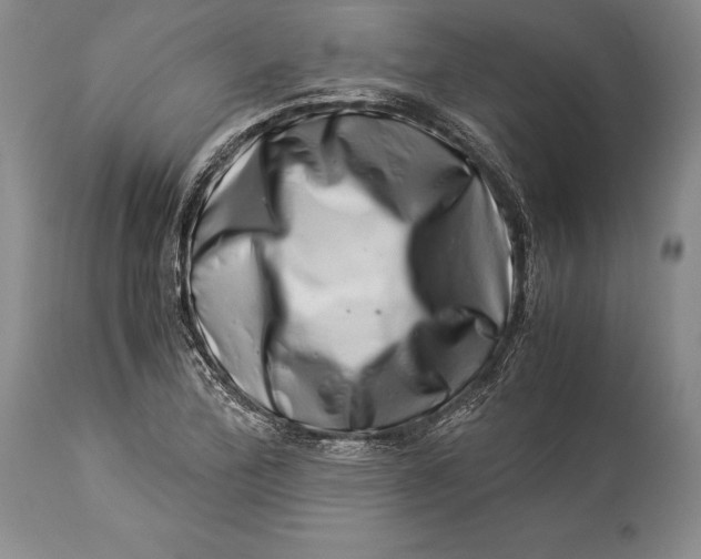 X0000113991172200910231723