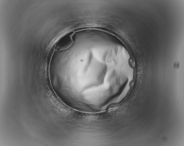 X0000113991173200910231723