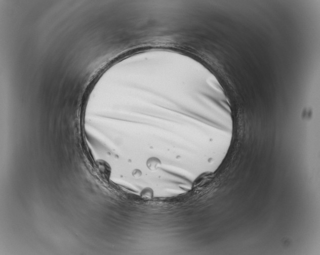 X0000113991176200910231723