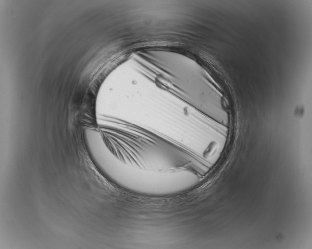 X0000113991177200910231723