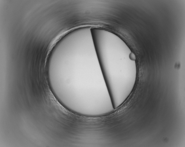 X0000113991180200910231723