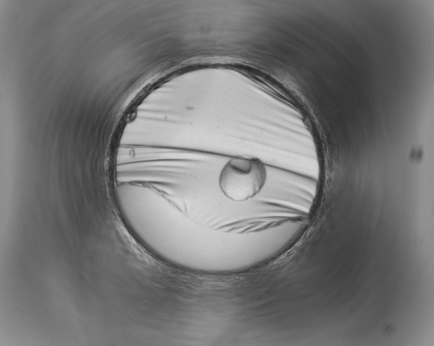 X0000113991181200910231723