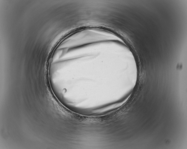 X0000113991183200910231723