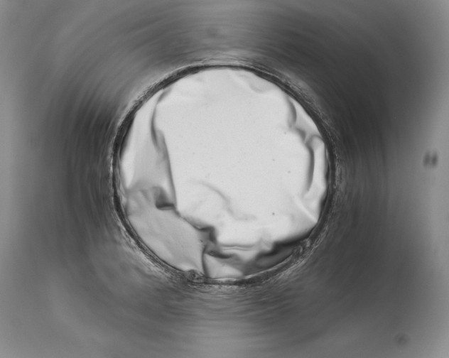 X0000113991184200910231723