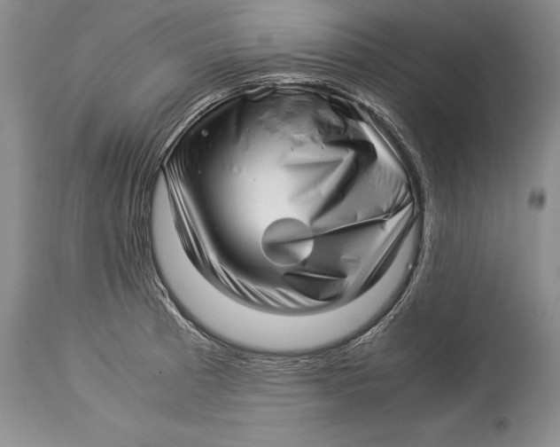 X0000113991185200910231723