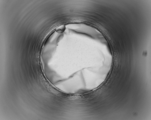 X0000113991186200910231723