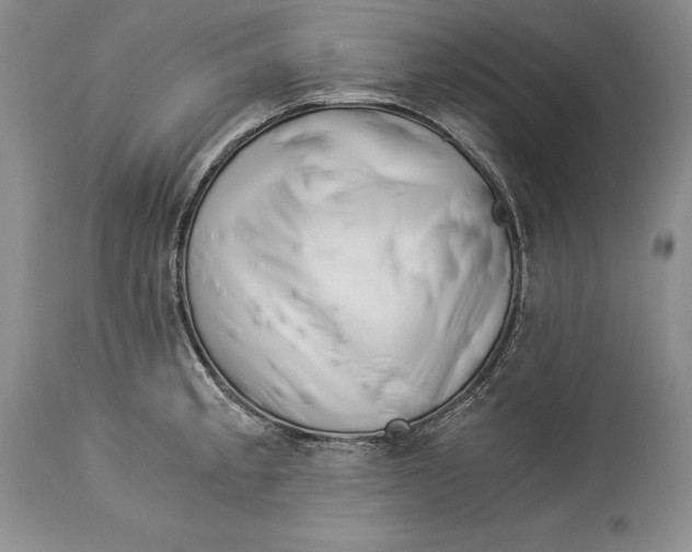 X0000113991189200910231723