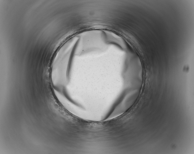 X0000113991190200910231723