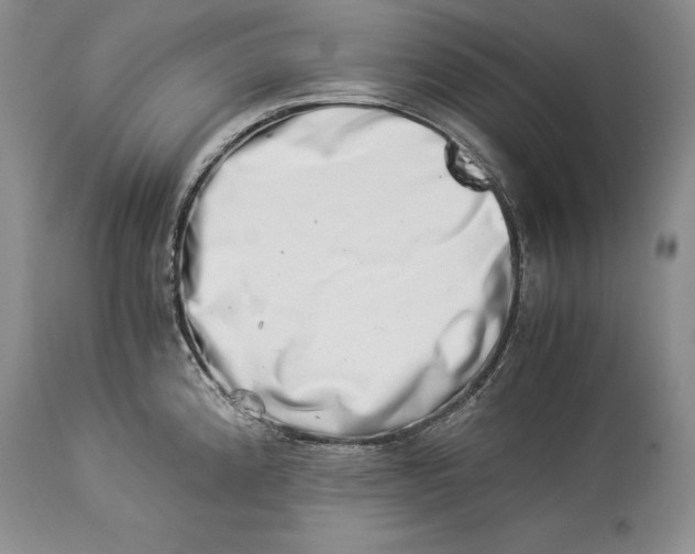 X0000113991192200910231723