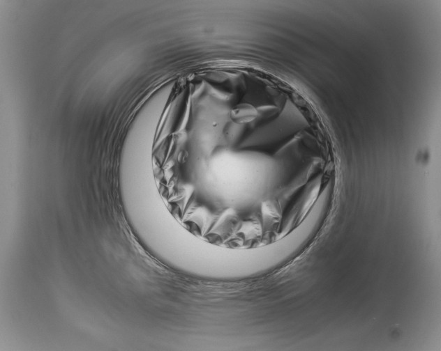 X0000113991193200910231723