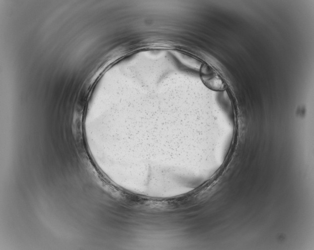 X0000113991194200910231723