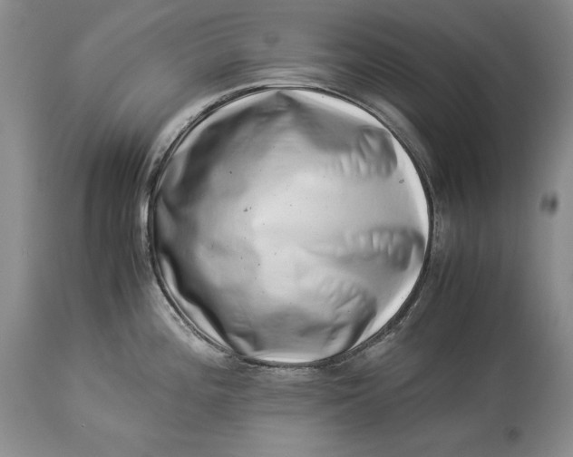 X0000113991196200910231723