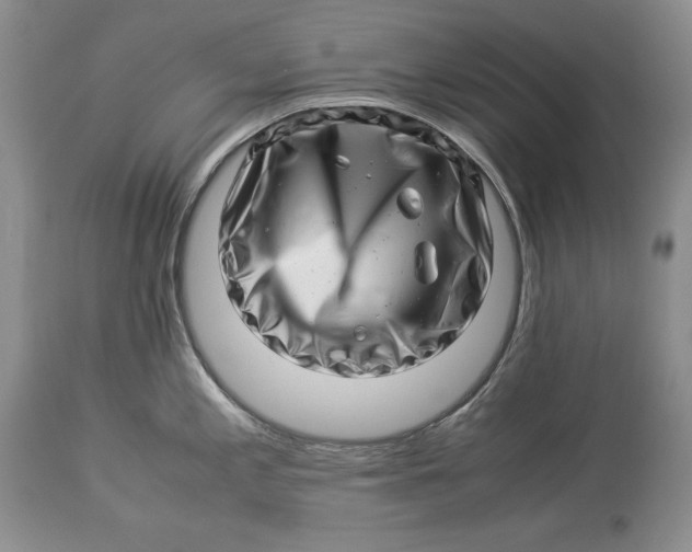 X0000113991197200910231723