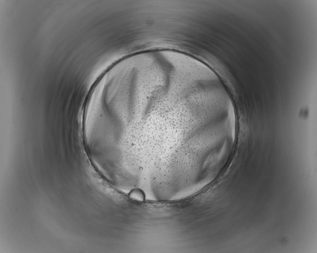 X0000113991198200910231723