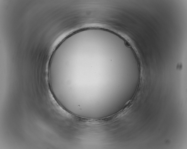 X0000113991199200910231723